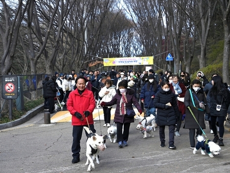 메인사진