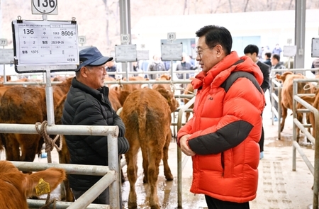 메인사진