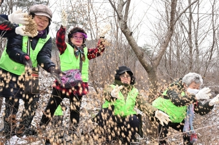 메인사진