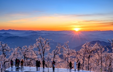 메인사진