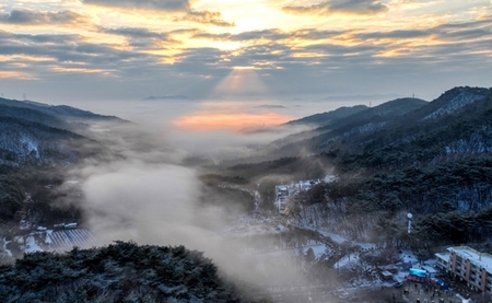 메인사진