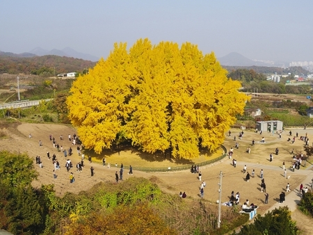 메인사진