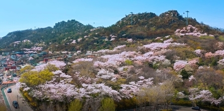 메인사진