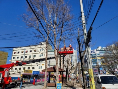 메인사진