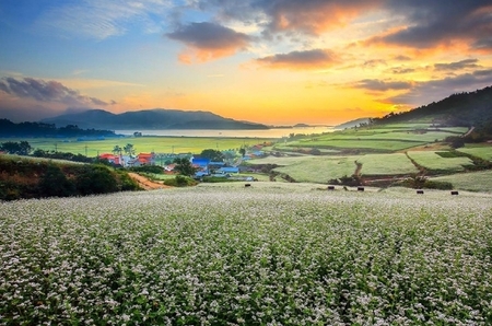 메인사진