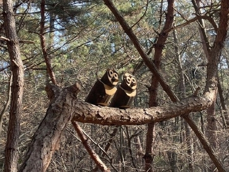 메인사진