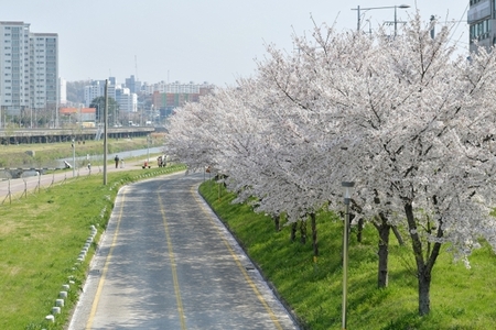 메인사진