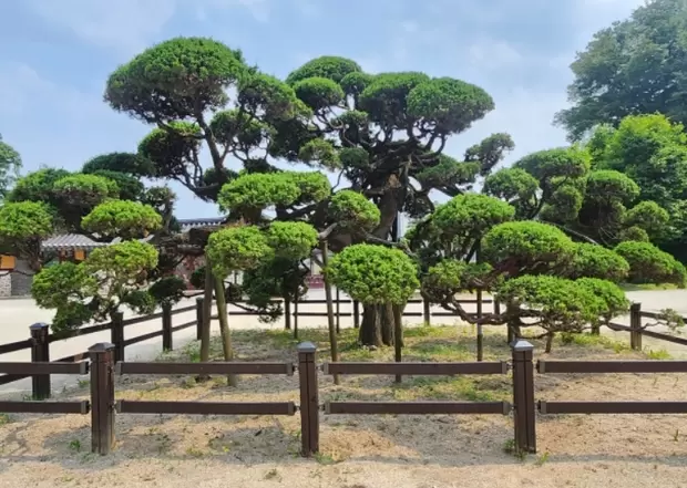 메인사진